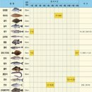 문중방파제 이미지