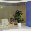 트리밍807 이미지