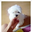 반곡2리 이미지