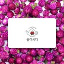 꽃마시다 이미지