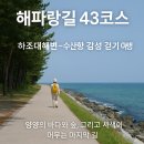 수산항요트마리나 | 🌅 해파랑길 43코스 걷기｜하조대해변에서 수산항까지, 사색과 여운의 마지막 여정
