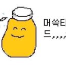 유명갈매기 이미지