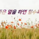 실버인지지도사 이미지