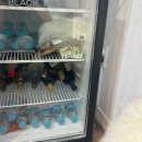 광주 | 광주 드레스 피팅 후기｜W 웨딩컨설팅 신상드레스 리얼 후기