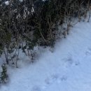 대림2길 10, (문화동) | [26.02] 이러다 금방 ㅂ여름되겠네