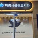 파랑새플란트 치과의원 이미지