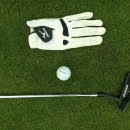 사우스케이프오너스클럽 | 2026 사우스케이프 오너스클럽 완벽 가이드