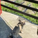 복숭아쉼터 이미지