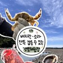 영흥16리마을회관 | [ 인천 갯벌체험장 ] 바지락 • 소라 • 박하지 갯벌체험 하기좋은 곳 (사람 많이 없음!)