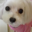 두진아파트 이미지