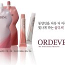 시저리 이미지