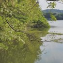 금호지 수변테마공원 이미지