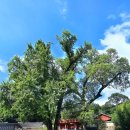 교촌3길 6 이미지