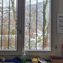 호수민박 | [스위스] 인터라켄 낭만 여행 (+한인민박 융프라우 빌라, 사랑의 불시착 이젤발트 호수 후기)