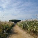 하늘정원 화장실 이미지