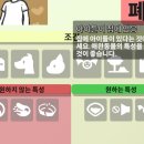 SHELTER PC 이미지