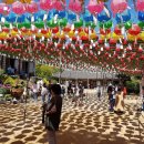 꽃이미지-Ⅰ 이미지