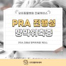 오뜨동물의료센터 | 신검단동물병원 고양이 PRA 진단 및 안저 변화 케이스 [오뜨동물의료센터]