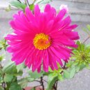 하단할머니 이미지