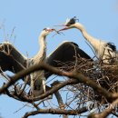 둥지모텔 이미지