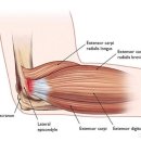 21세기 충주제통의원 이미지
