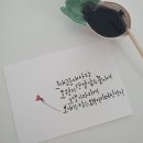 꽃과 만나는 캘리그라피 이미지