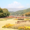 옥연가 | 함양 상림공원 맛집 옥연가 내돈내산 후기 + 가을의 상림공원