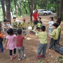 둥지어린이집 이미지