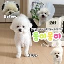 동이몽이 이미지