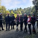 6월 13일 Wairoa Loop Track &amp; Suspension Bridge Track 이미지