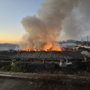 양계장닭한마리 이미지