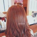 헤어그래