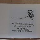 바른(BAREUN)