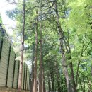 명달근린공원 이미지