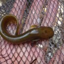 자원부화장 이미지