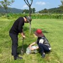 그라운드골프장 이미지