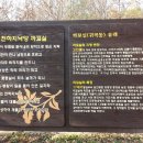 제464차 진주 황학산 180315 이미지