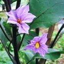 (주)동방 이미지