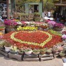 보문사입구(일주문) 이미지