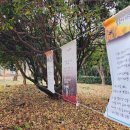 대변해양공원 이미지