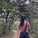 서봉산산림욕장 이미지