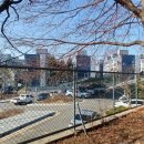 그린공원(마동시영) 이미지