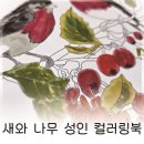 마음한장 그림한장 힐링 여행스케치 | 수채화로 즐기는 힐링 취미, 그림이좋은사람들 감성 컬러링북 추천