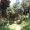 두동편백마을 이미지