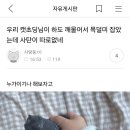 달콤한 팝콘
