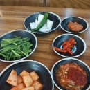 2026.07.31. 오늘의 점심은 ~명보사거리 경성순대국 본점 ~순대 빼고 다대기 따로 ~~~ 이미지
