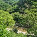 지호농원 이미지