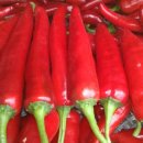 희나리농장 이미지