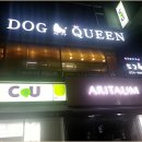 도그퀸 | 대전강아지분양 도그퀸 방문후기~!