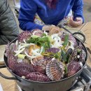 조개찜 칼로리와 효능: 남양주 조개찜 맛집 화도수산 후기